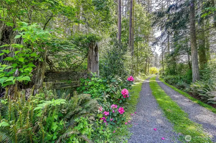 This is the start of your drive down to this magical property.
