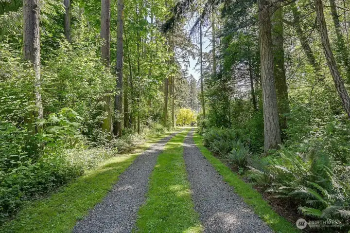 Native trees, huckleberries, salal, sword ferns and more provide a beautiful backdrop and habitat for small animals and birds.