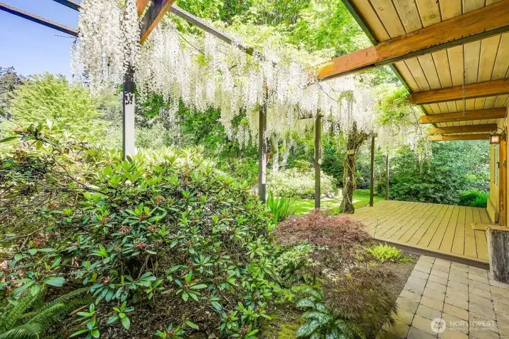 The front door is graced with this beautiful and fragrant wisteria. The partly covered porch is made of water-resistant material.
