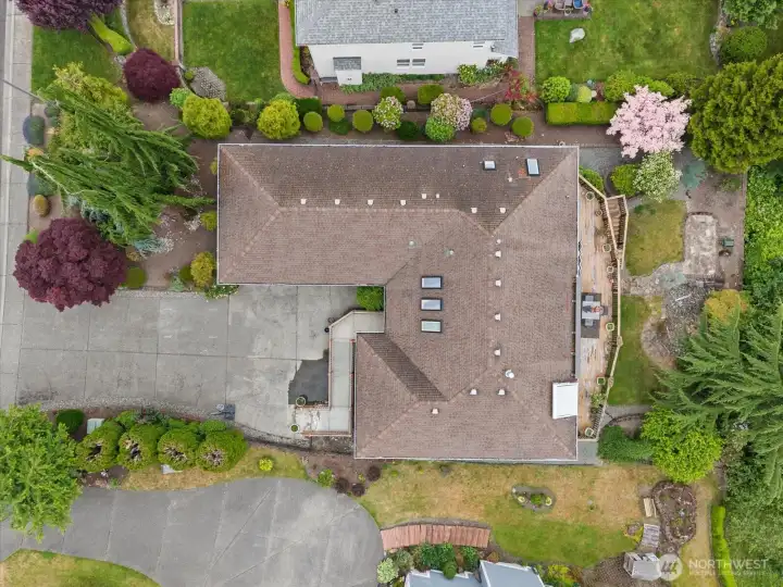 Bird's Eye