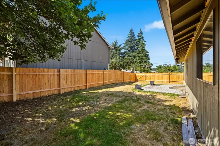 Natural Shade for the big backyard