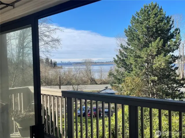 City & Lake View from Balcony