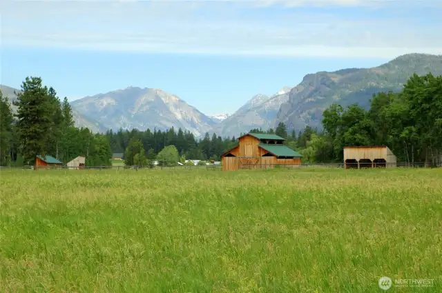 43.8 acres of diverse land with open meadows, pines, and forest edge