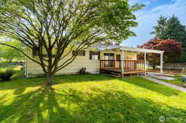 Mature trees sprinkle the property for some shady space in the grass.