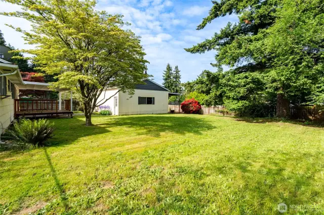 Lots of green grass for pets and little ones to run around and play.