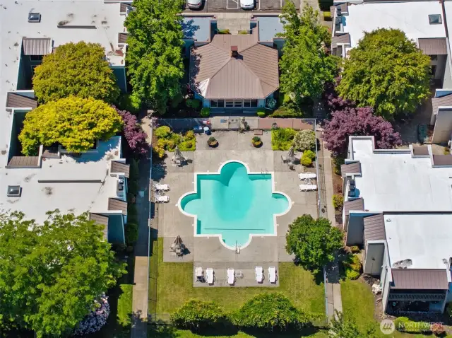 Fun pool for those hot summer days.