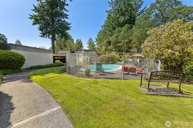 View of one of the pools.