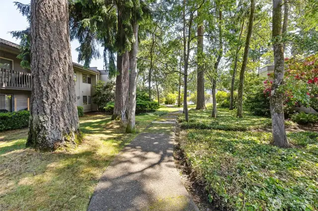The area is surrounded by beautiful, mature landscaping in PNW style.