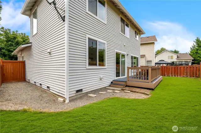 Backyard Staged Grass