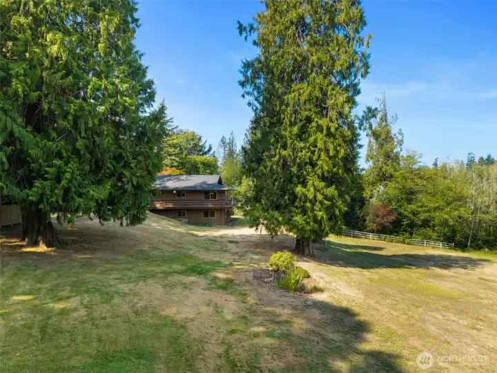 4.33 acres means privacy and room to roam.