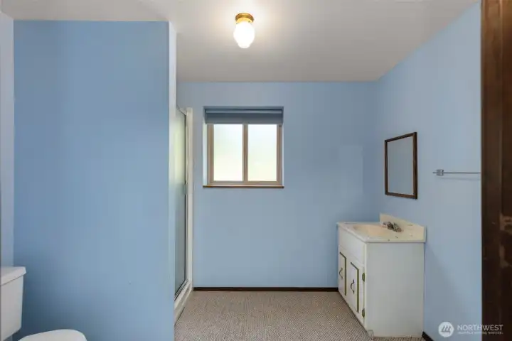 The lower level has a roomy 3/4 bath.