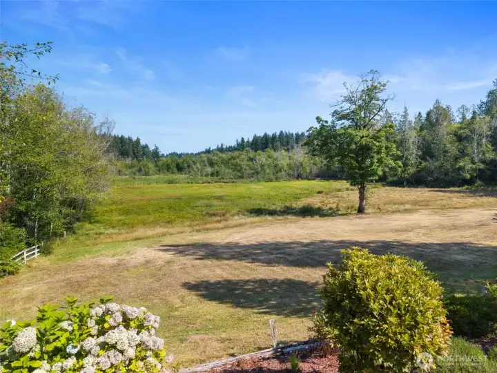 4.33 acres of open space framed by evergreens.