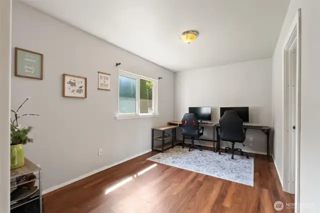 Lower level Family Room