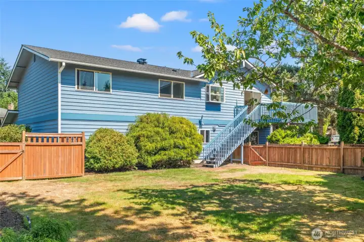 Fenced backyard.