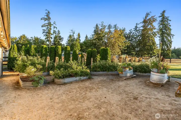Raised bed garden, Raseberries, Blueberries, and Stawberries