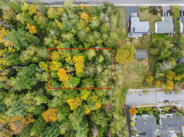 Lot line is approximate, buyer to verify.