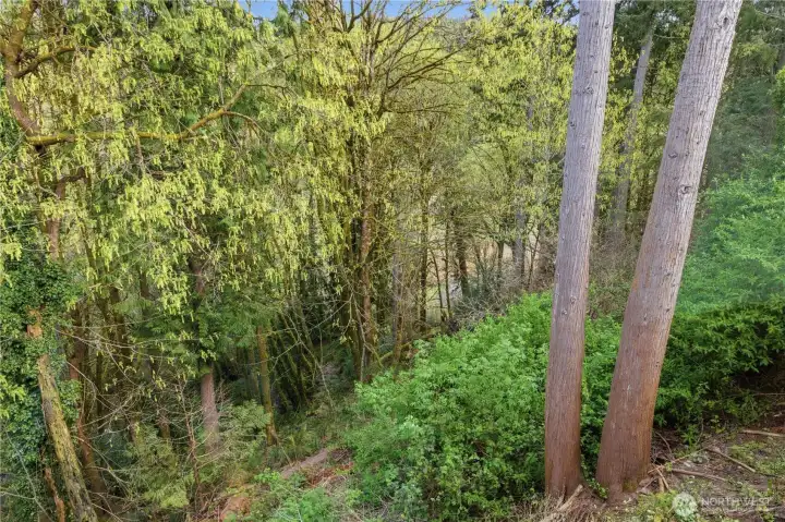 Chamber's Creek is below. No one will build behind you! Enjoy the greenbelt.