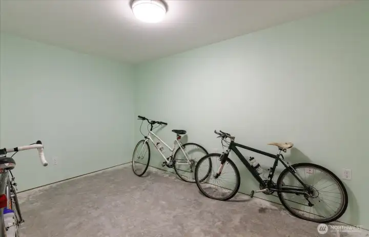 Basement room that can be used as home gym, work space, creative room. Sauna is across the hall.