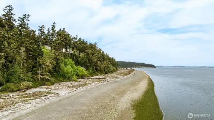 Beach below the house at mid-tide. Plenty of space for walking, clamming, and crabbing.