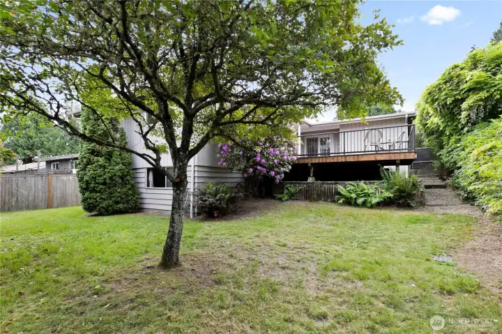 The back yard features a relatively flat lawn and shows the custom Trex deck. There are mature trees for shade. The back yard features a relatively flat lawn and shows the custom Trex deck. There are mature trees for shade.