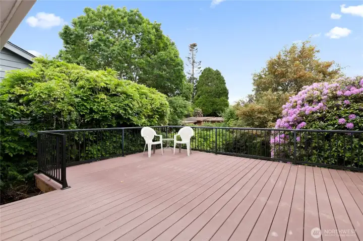 The Trex deck has a complete metal railing. The Trex deck has a complete metal railing.