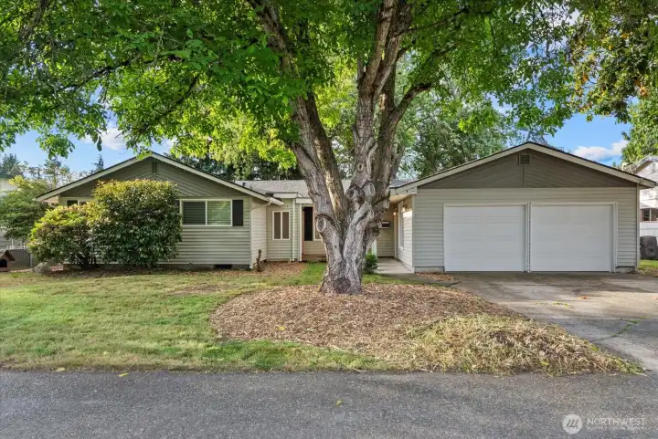 Welcome Home – Beautifully maintained 4-bedroom Auburn property with exceptional curb appeal and a spacious 4-car garage.