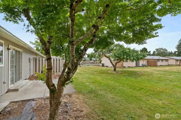 Each Unit has a Patio and yard space. Each Unit has a Patio and yard space.
