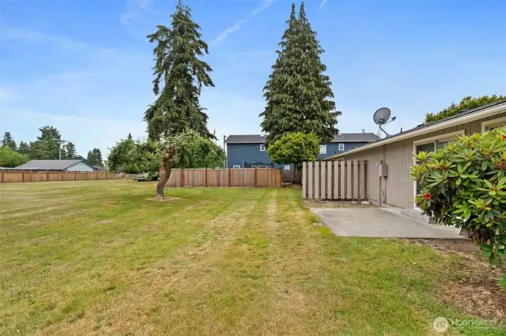 Large backyard with Apple Tree. Large backyard with Apple Tree.