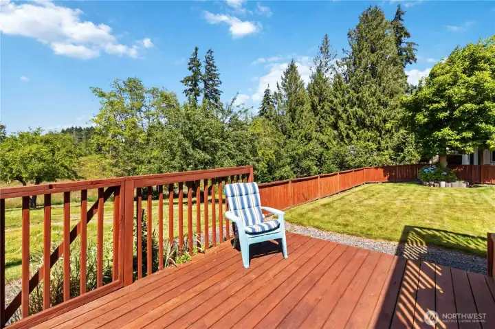 Back deck