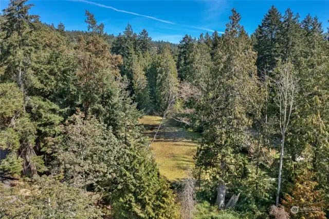 Pond on lower side of property