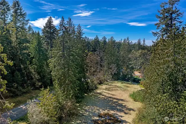 Pond off of West Side Rd.