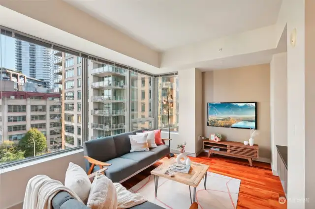 Living Room with Great Natural Light