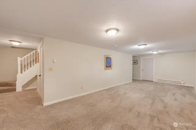 Lower Level Living Space