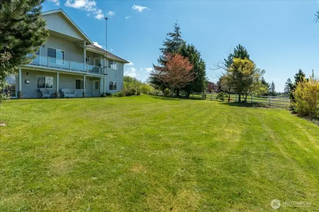 Backyard - plenty of space to put in a garden, play games, entertain guests, etc.