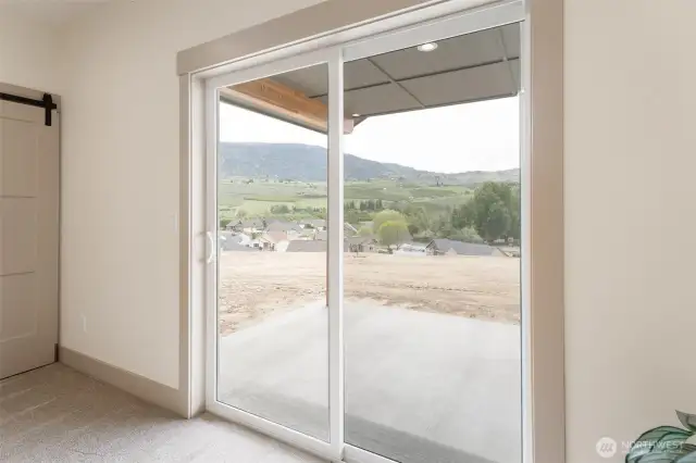 established views from slider in primary-leading to covered rear patio, with plug for hot tub!