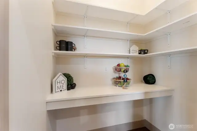 pantry with plugs for appliances- coffee bar?
