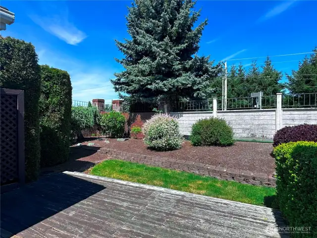 Backyard.