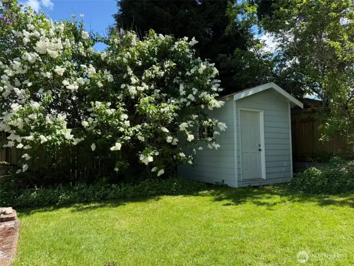 Backyard in the spring and summer.