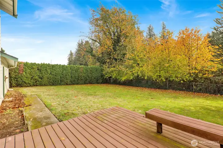 Spacious and secluded—this fenced yard offers peace of mind for pets and little ones!