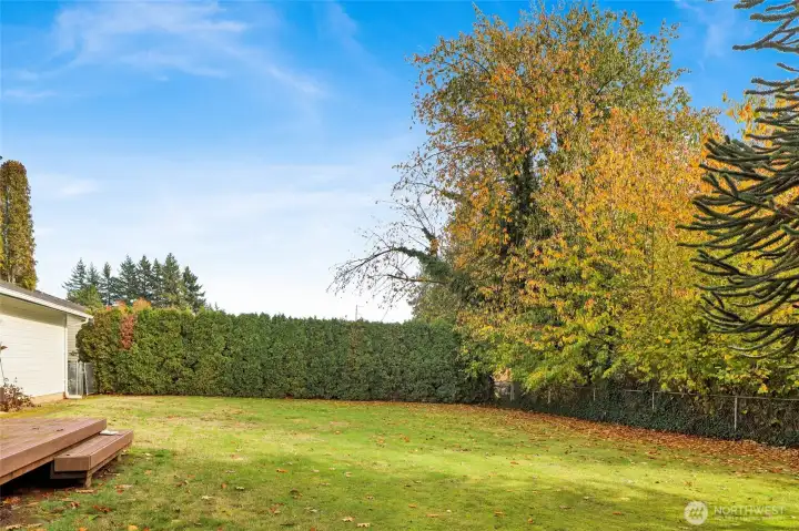 A private, fully fenced backyard—perfect for pets, play, and quiet moments under the trees.