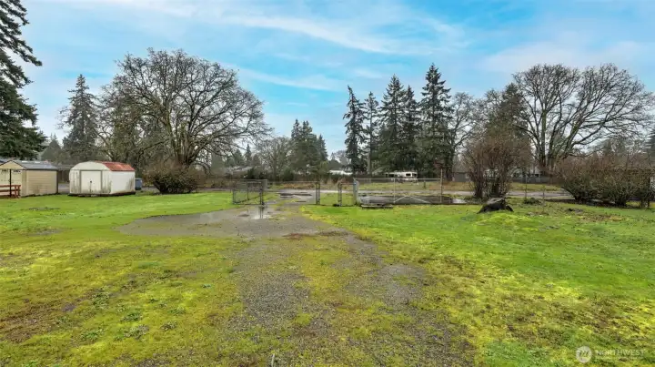 Large level backyard with alley access and pad near alley