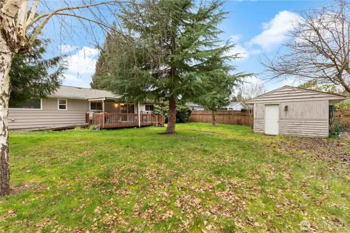 This garden shed is bigger than it looks. It has a concrete floor for easy maintenance and some built in storage.