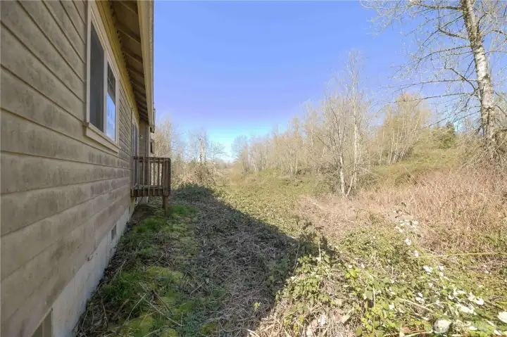 Back of the house, northfacing