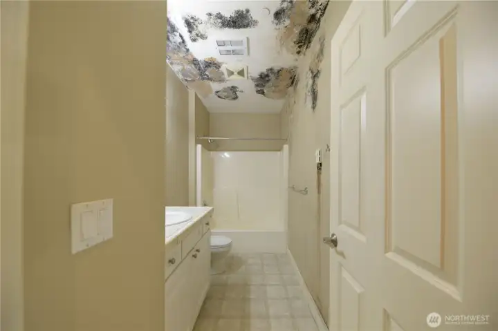 Hallway bath. Spongy floor. Something on the ceiling.