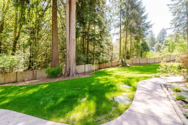 Beautiful grassy yard