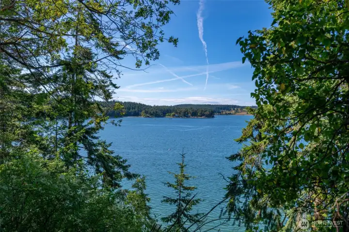 Nothing better than looking through the madronas to Penn Cove and searching for Orcas. Nothing better than looking through the madronas to Penn Cove and searching for Orcas.