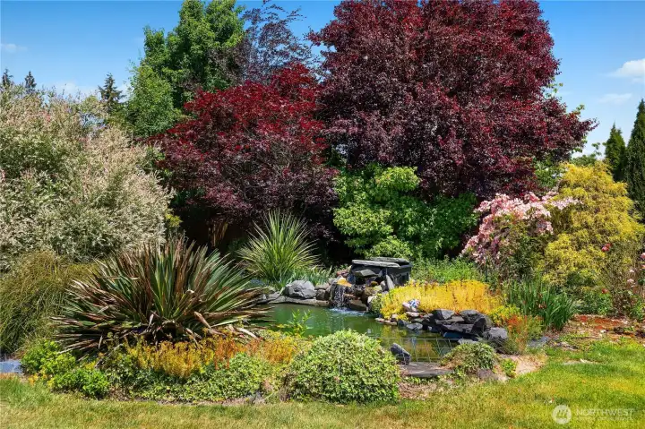Enjoy all the beautiful colors of summer in your own backyard.
