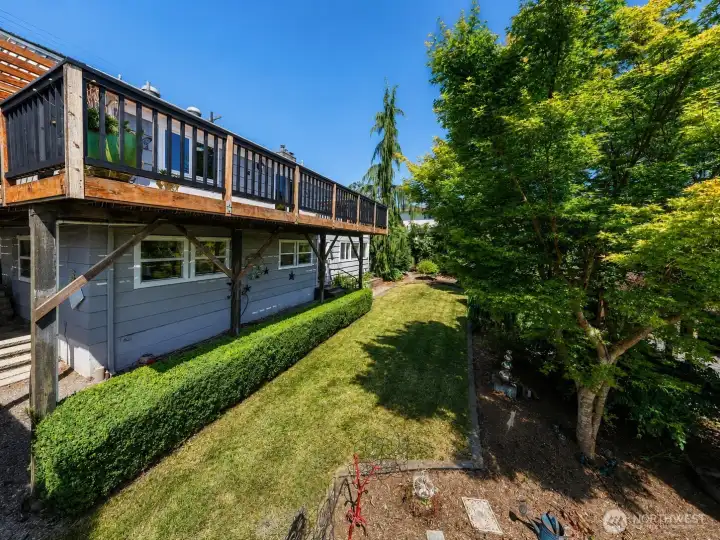 Amazing back yard Amazing back yard