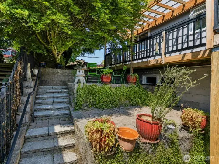 South side yard South side yard
