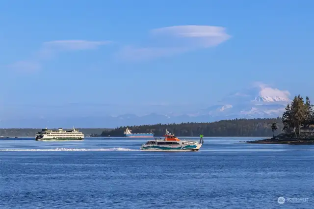 Watch the ferries glide by day and night along with the occasional submarine and even an aircraft carrier!